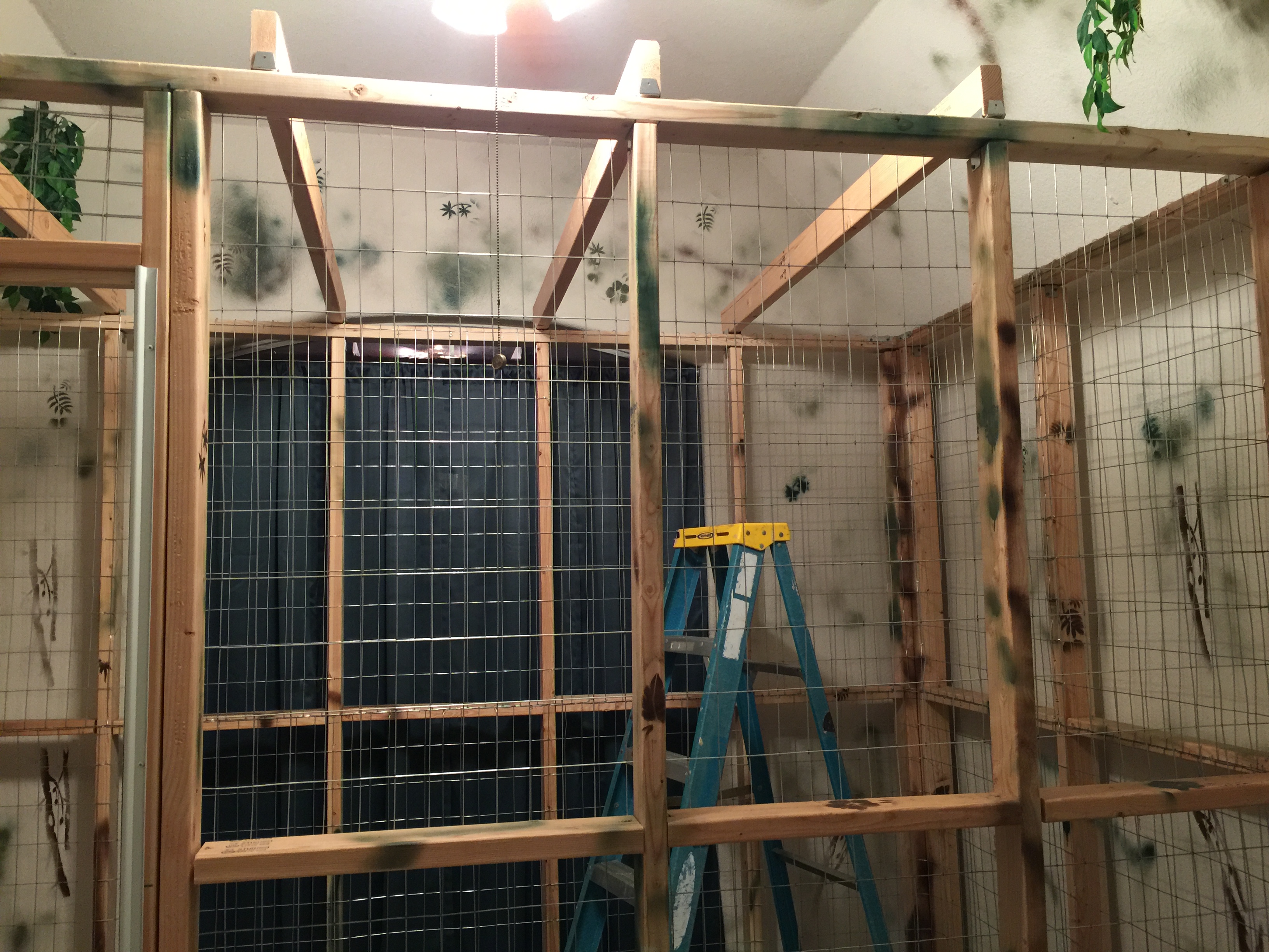 View of Retooling a large indoor enclosure | Parrot Forum 🦜 Parrot Owners Community